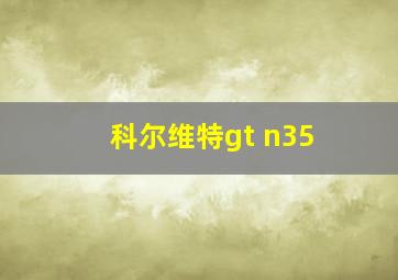 科尔维特gt n35